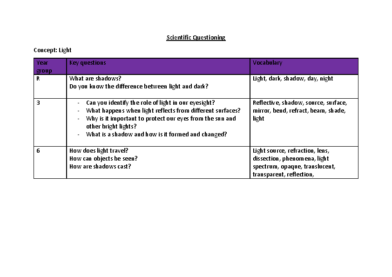Scientific Questioning – Light